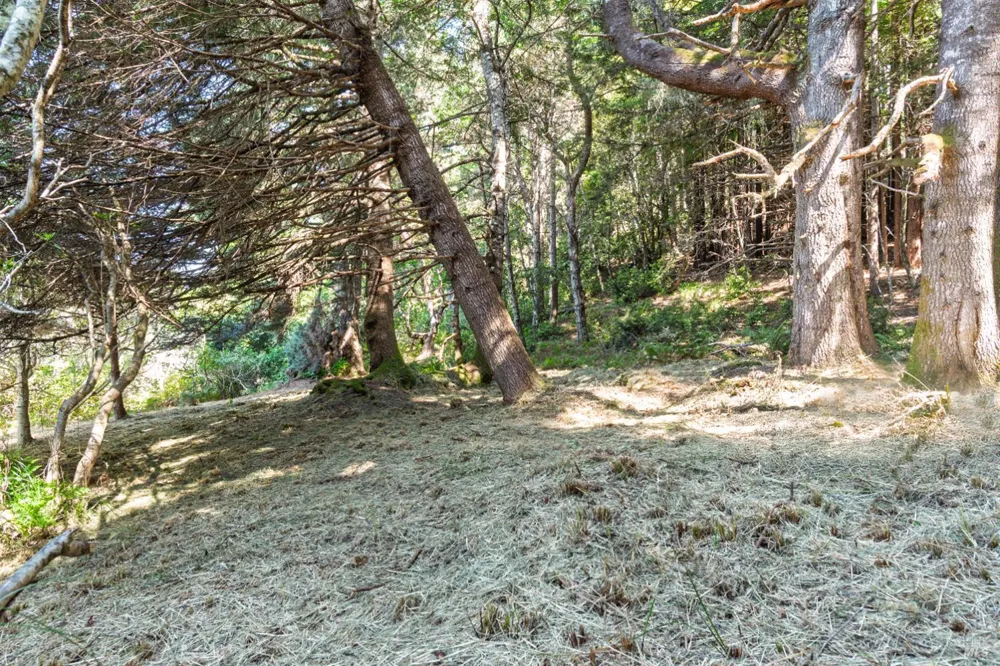 332 Antler Close The Sea Ranch, CA 95497