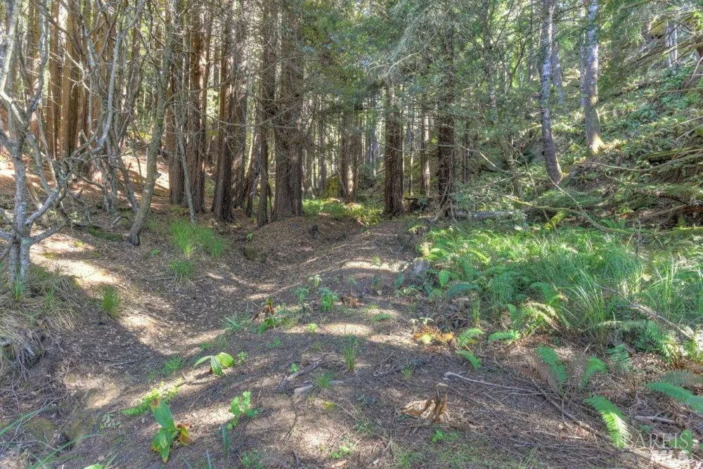 332 Antler Close The Sea Ranch, CA 95497