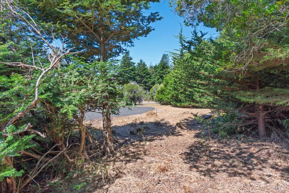 332 Antler Close The Sea Ranch, CA 95497