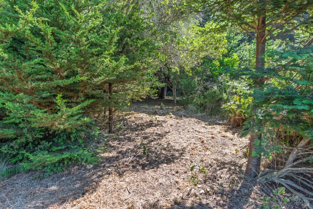 332 Antler Close The Sea Ranch, CA 95497