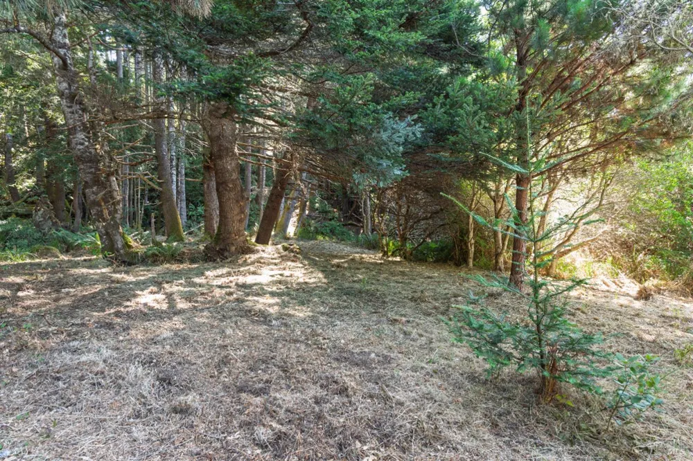 332 Antler Close The Sea Ranch, CA 95497