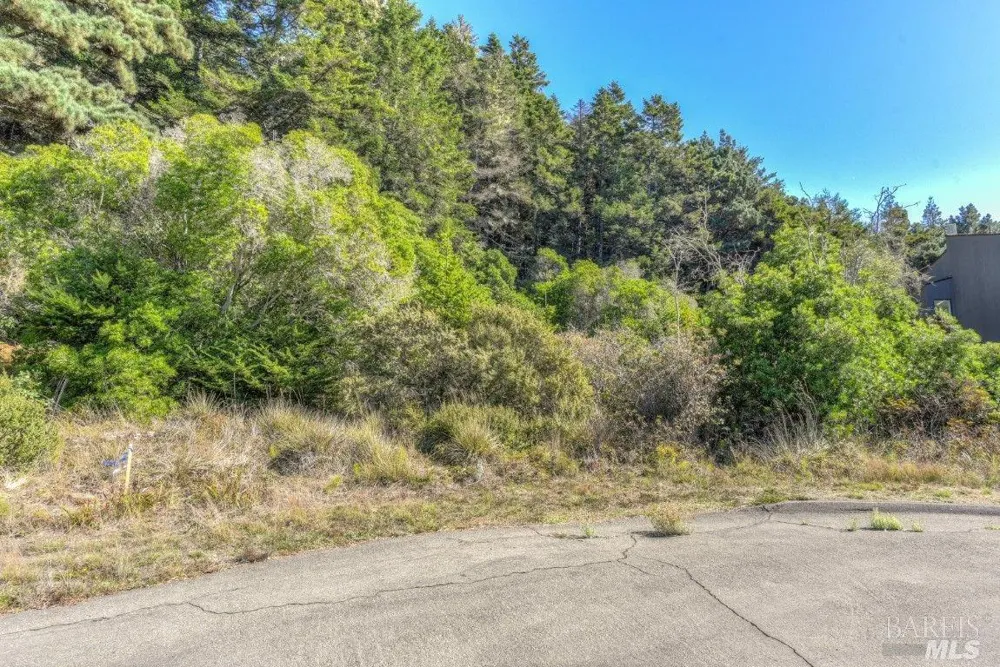 332 Antler Close The Sea Ranch, CA 95497