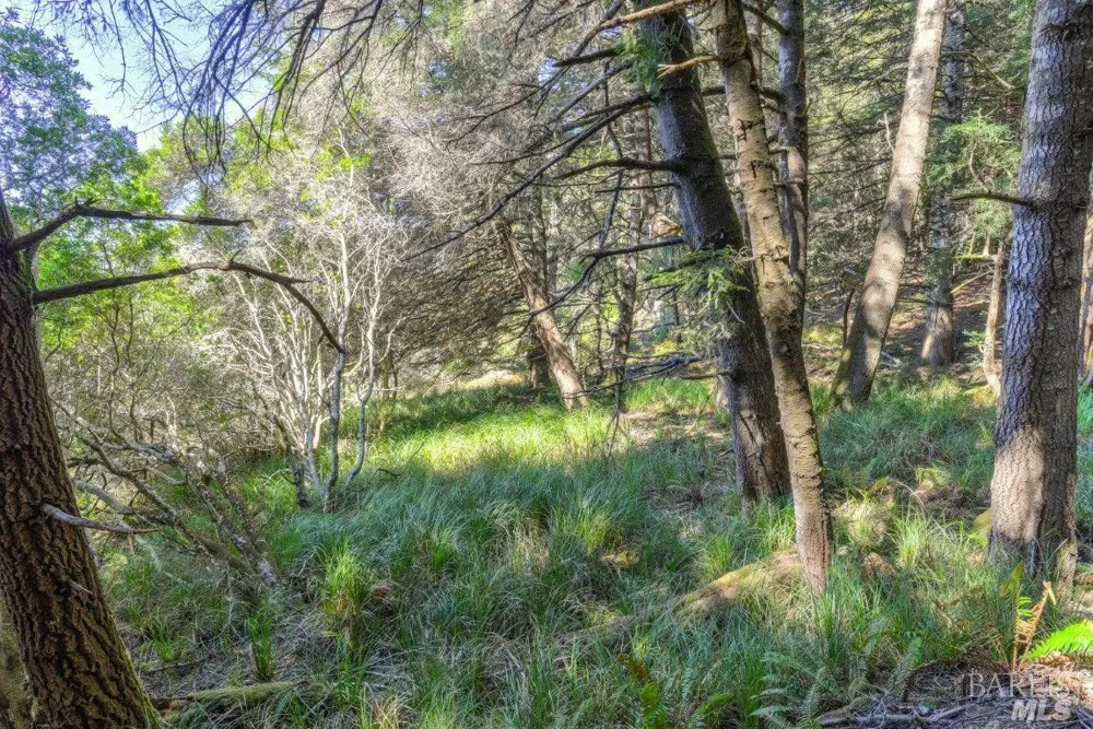 332 Antler Close The Sea Ranch, CA 95497