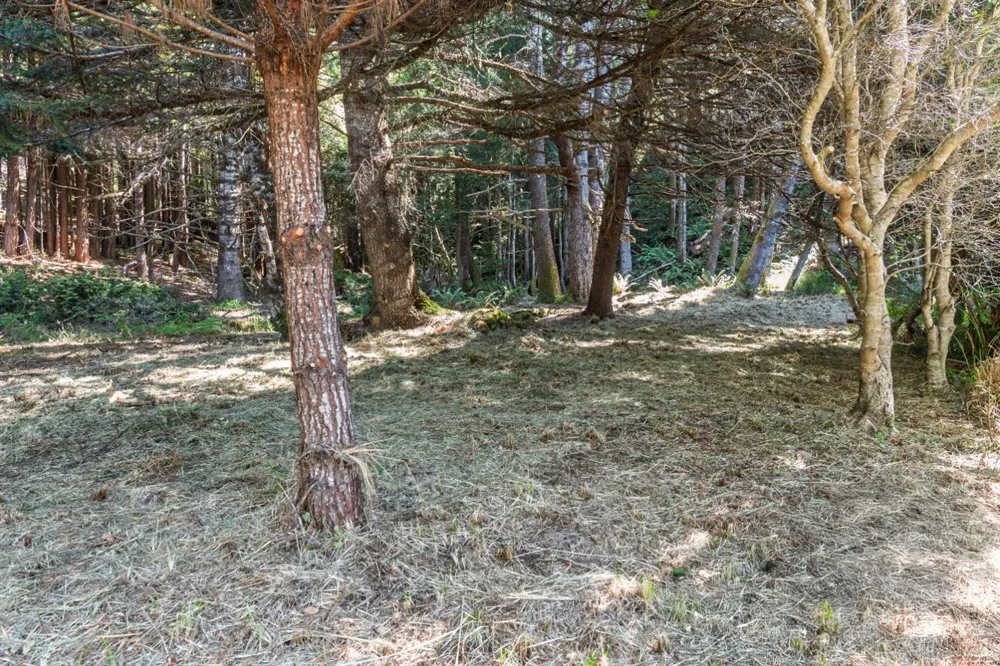 332 Antler Close The Sea Ranch, CA 95497