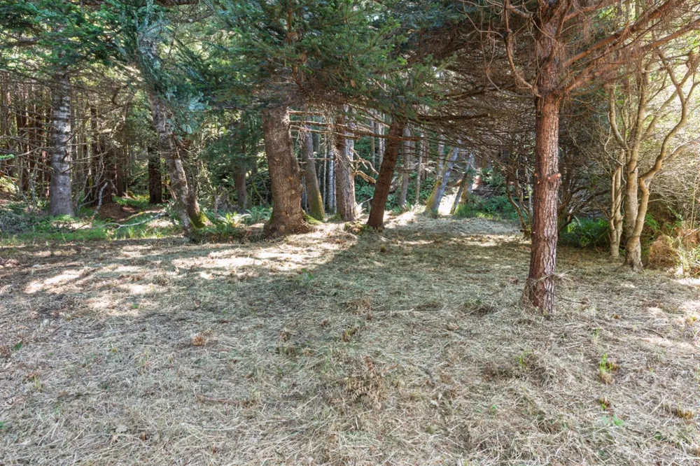 332 Antler Close The Sea Ranch, CA 95497