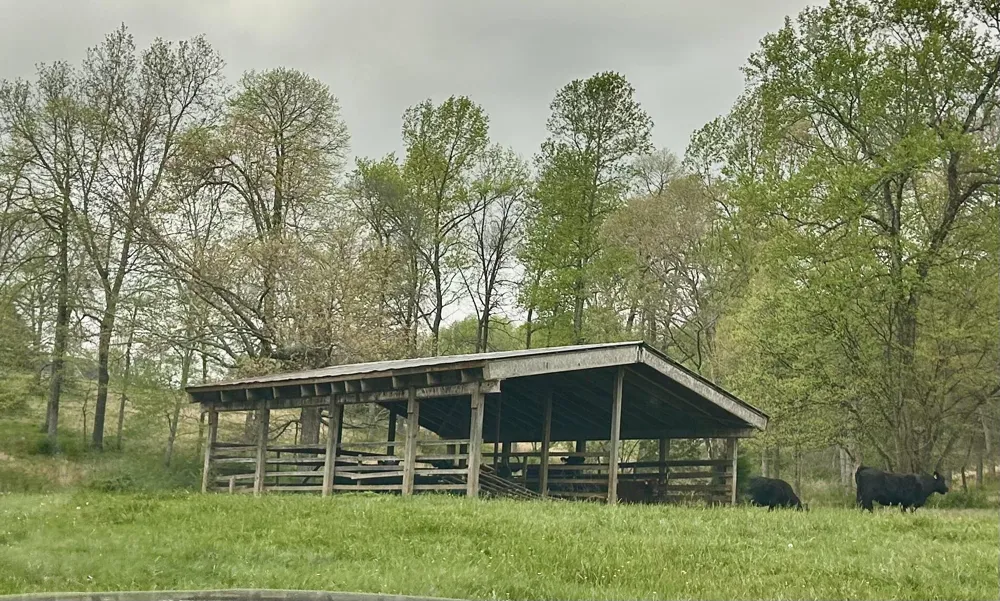 410 County Road 264 Niota, TN 37826