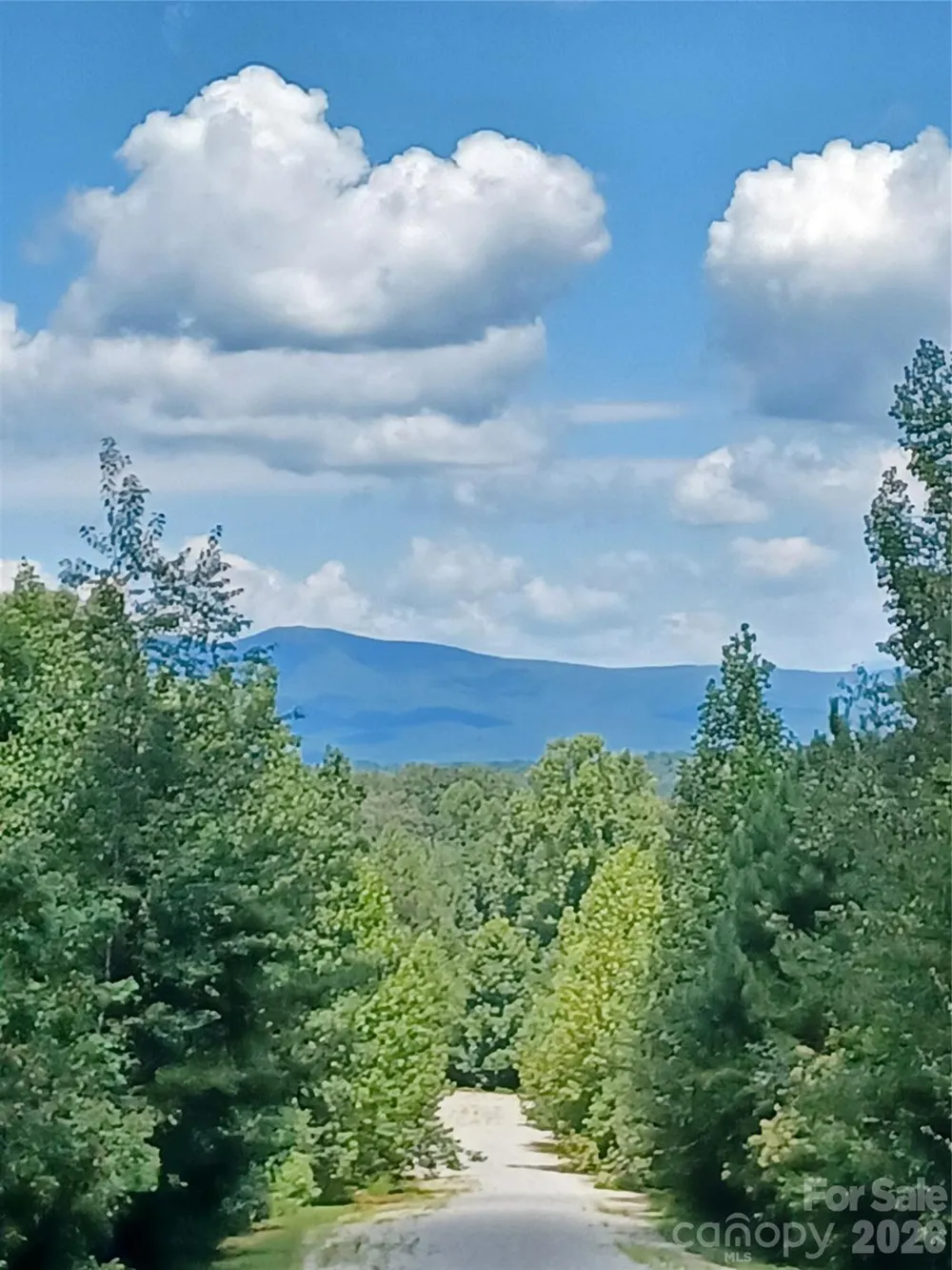 88 Lowden Drive #88 Nebo, NC 28761