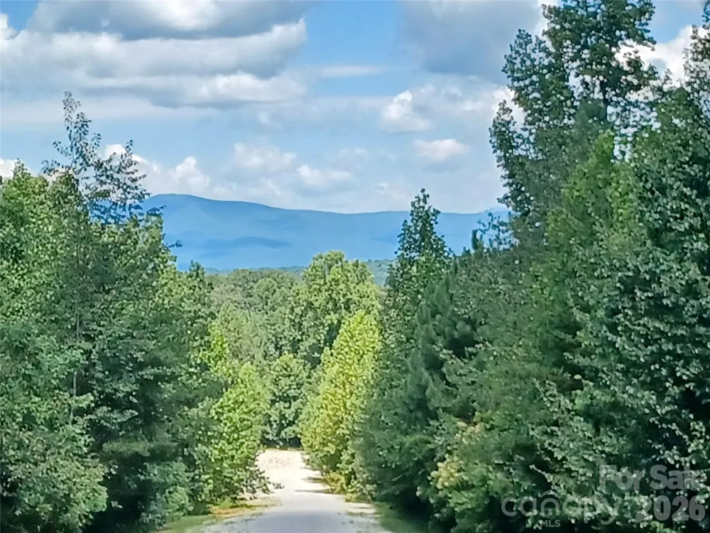 88 Lowden Drive #88 Nebo, NC 28761