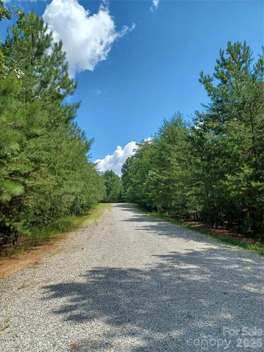 88 Lowden Drive #88 Nebo, NC 28761