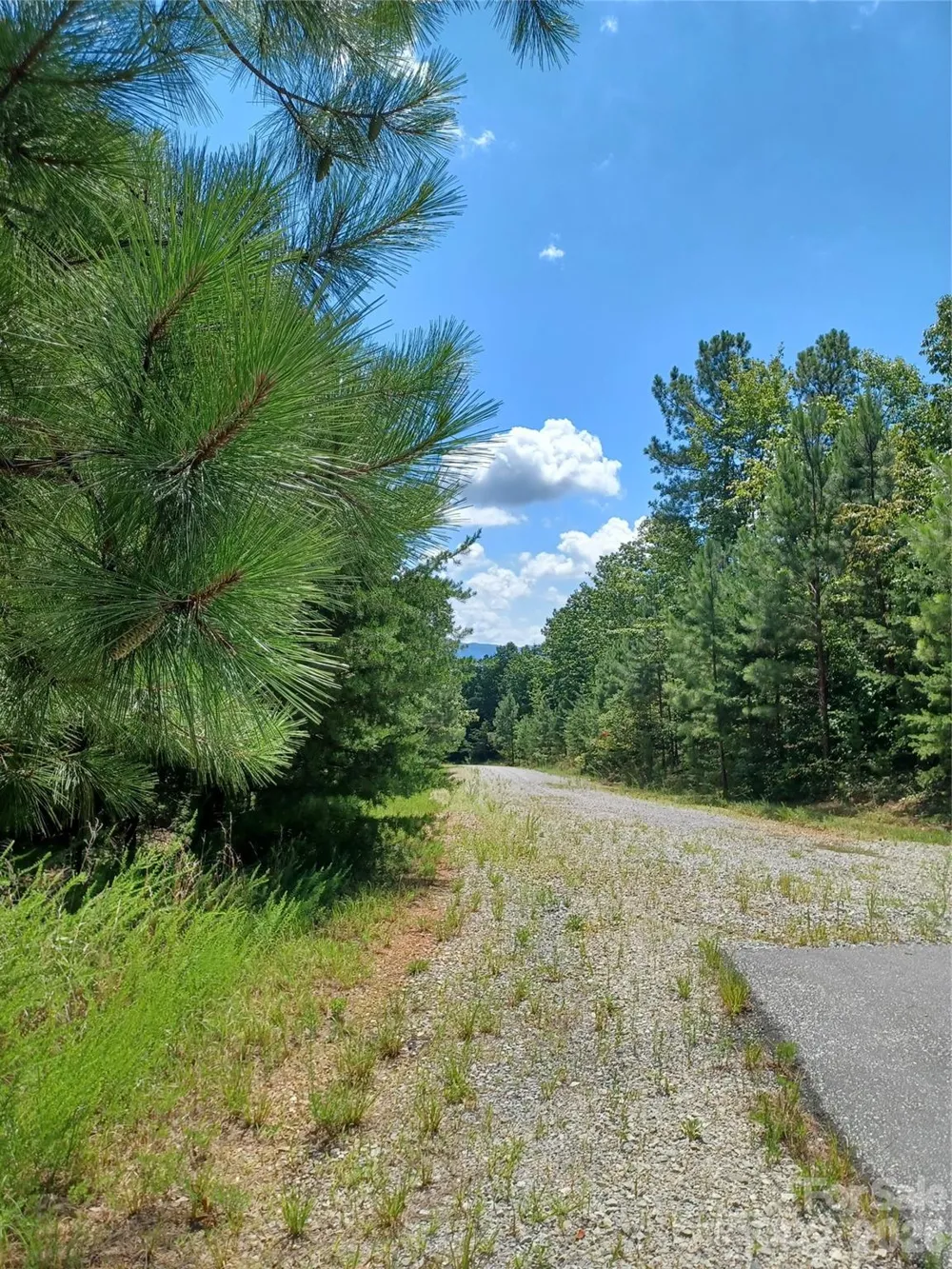 88 Lowden Drive #88 Nebo, NC 28761