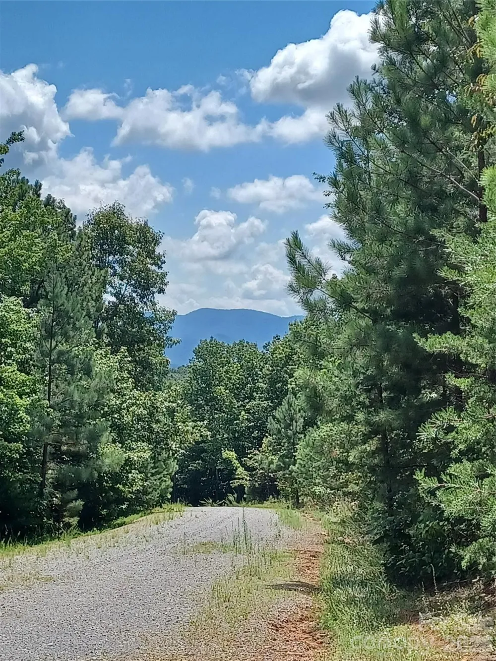 88 Lowden Drive #88 Nebo, NC 28761