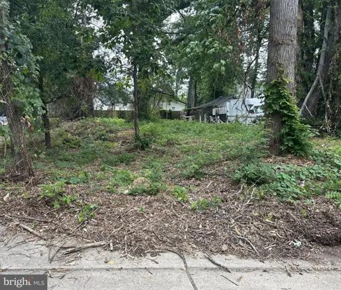 7814 BELVEDERE DRIVE