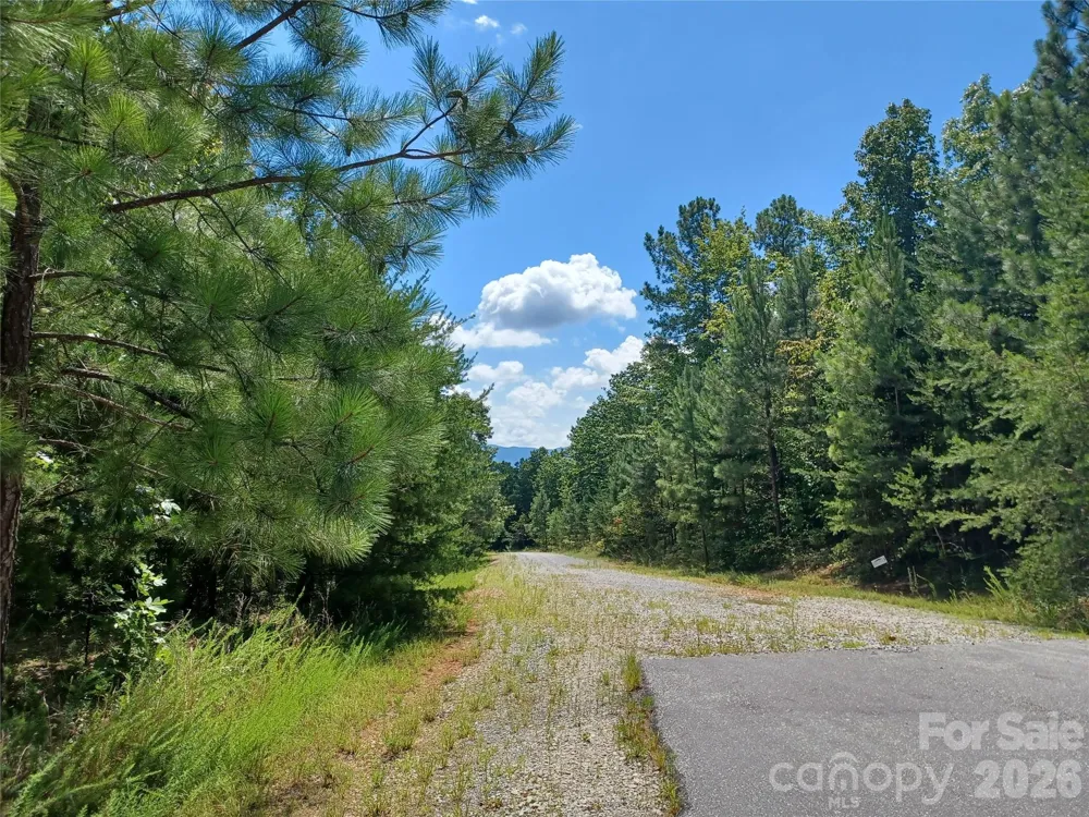 31 Hull Avenue Nebo, NC 28761