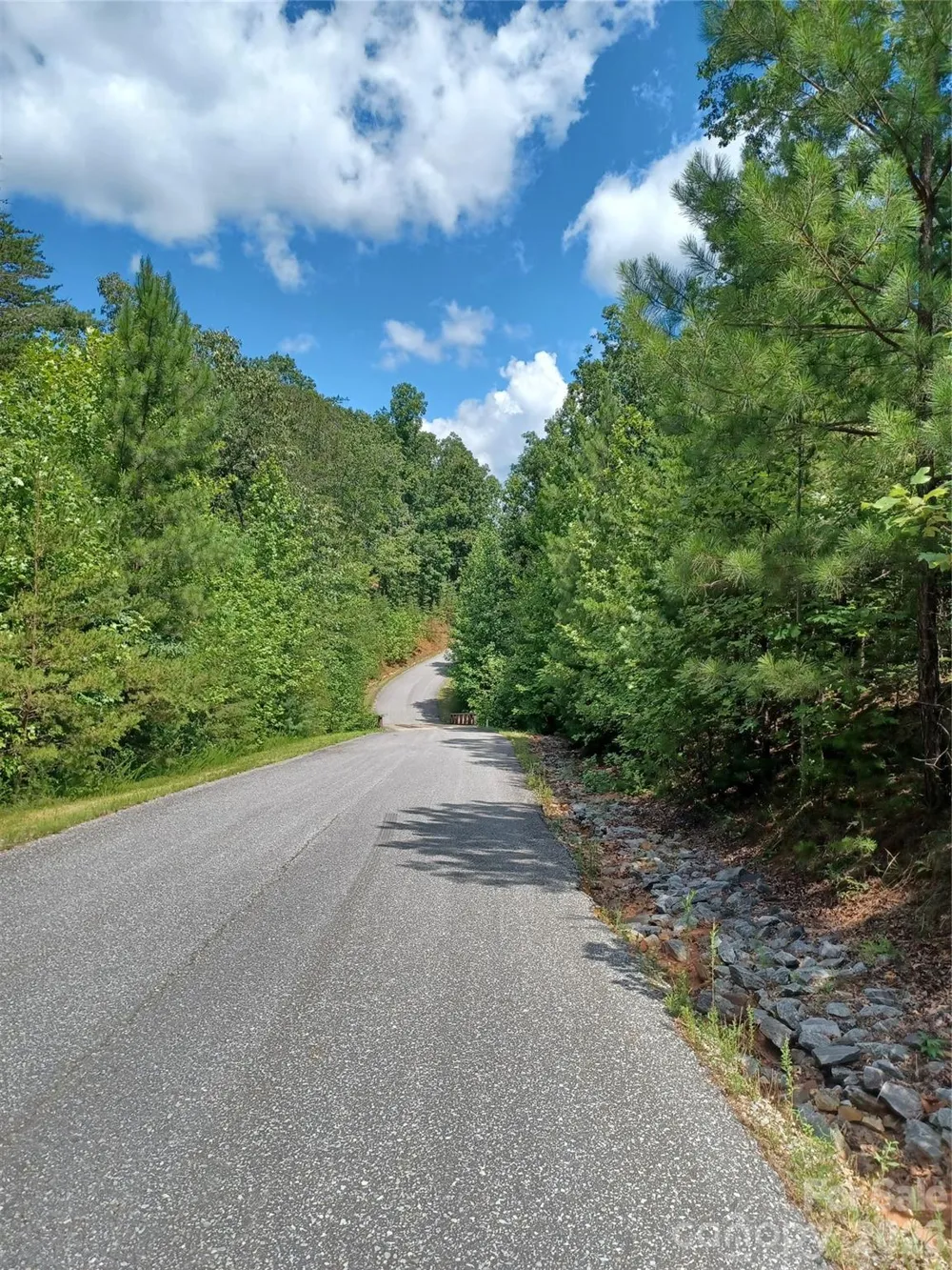 31 Hull Avenue Nebo, NC 28761