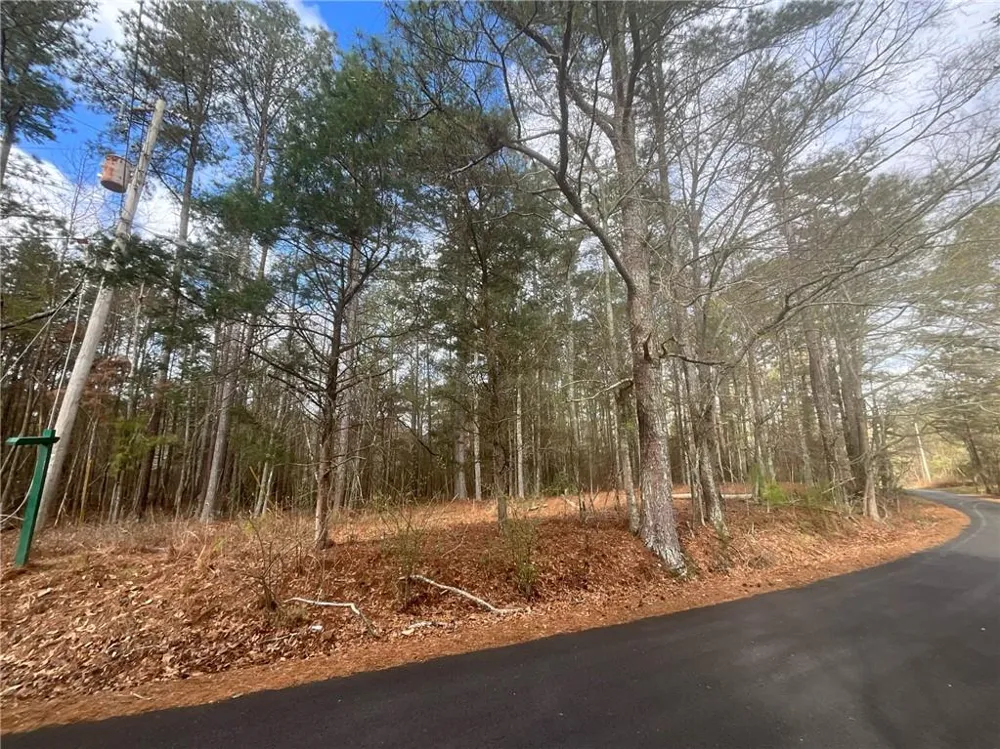 8615 Smith James Road Snellville, GA 30039