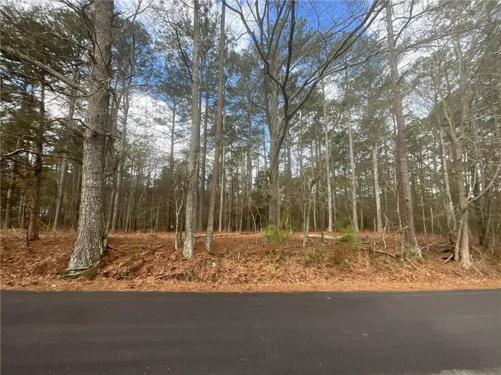 8615 Smith James Road Snellville, GA 30039