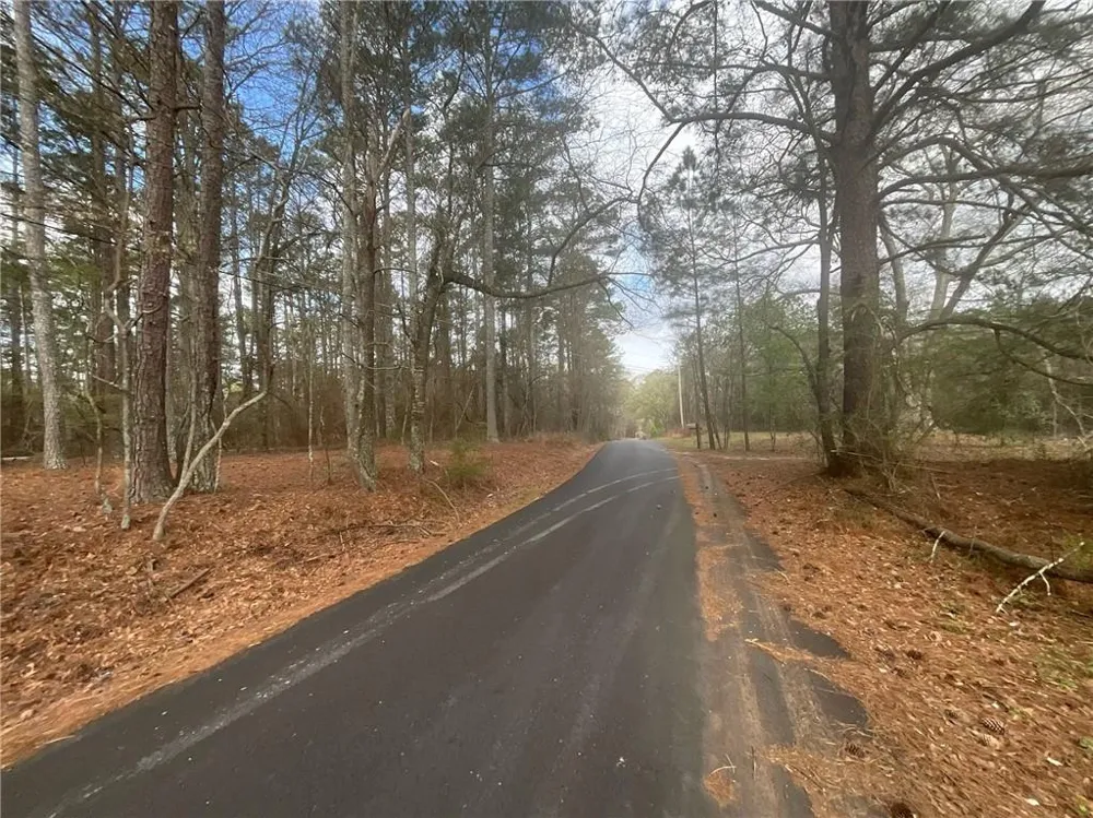 8615 Smith James Road Snellville, GA 30039