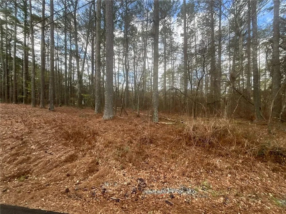 8615 Smith James Road Snellville, GA 30039