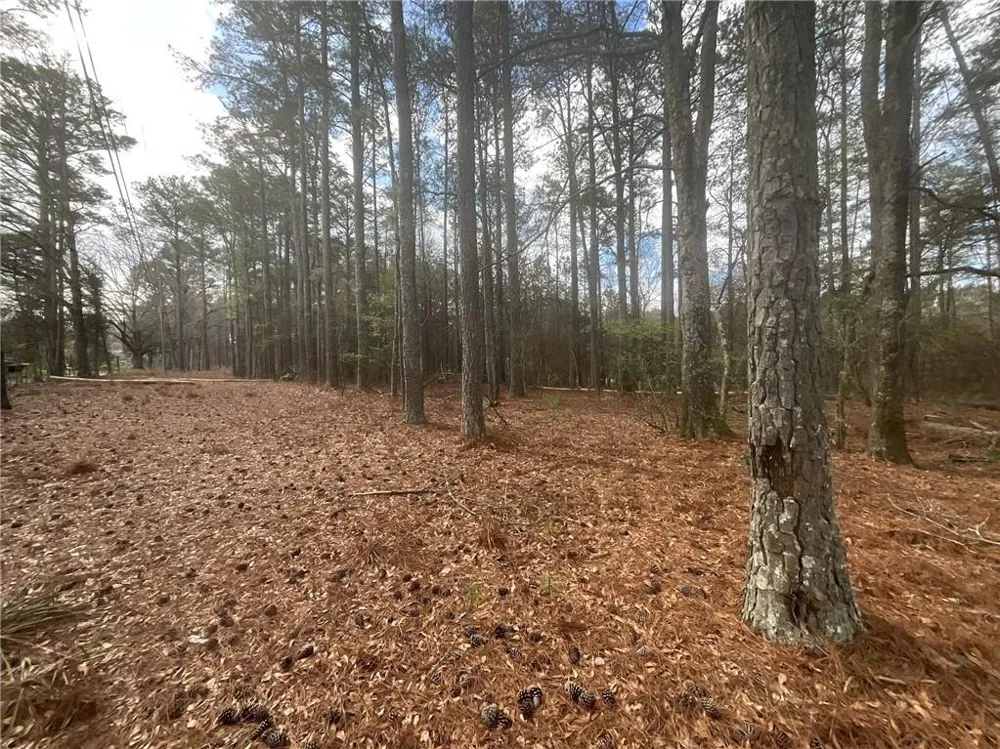 8615 Smith James Road Snellville, GA 30039