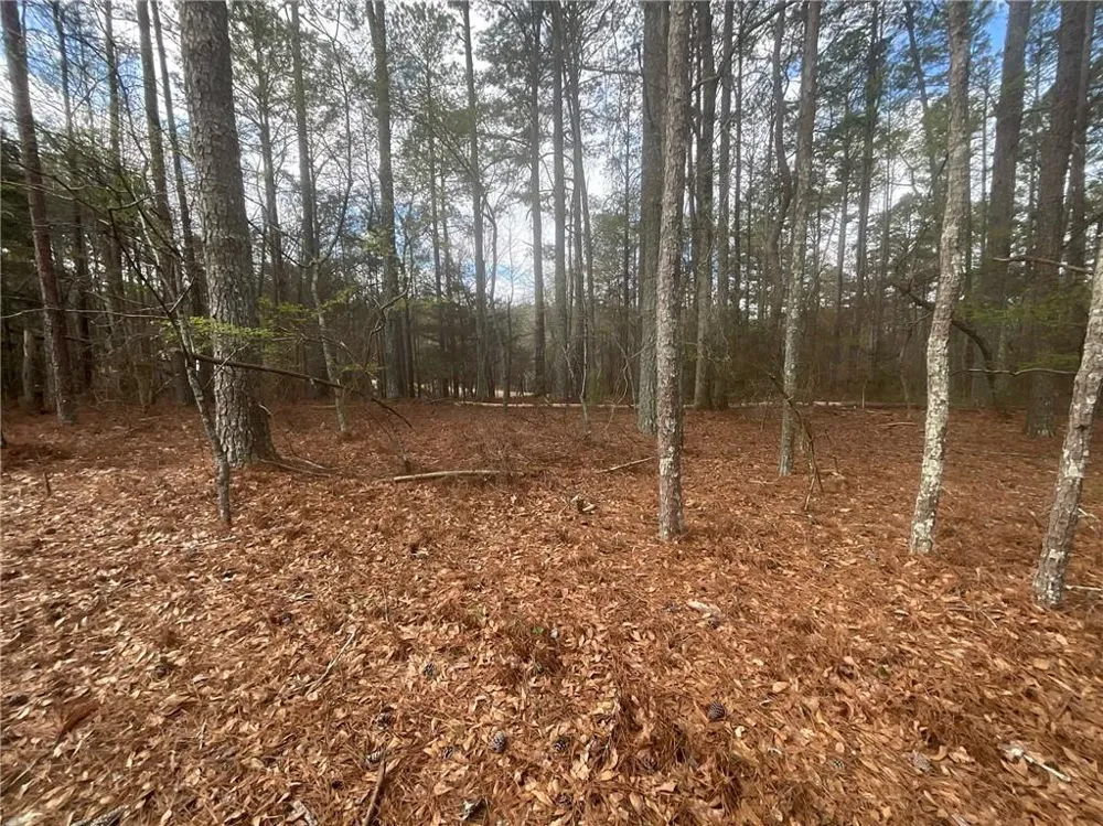 8615 Smith James Road Snellville, GA 30039