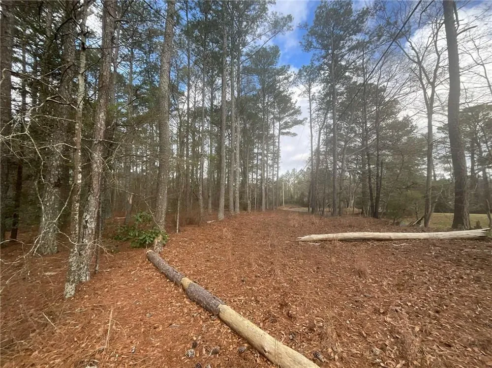 8615 Smith James Road Snellville, GA 30039