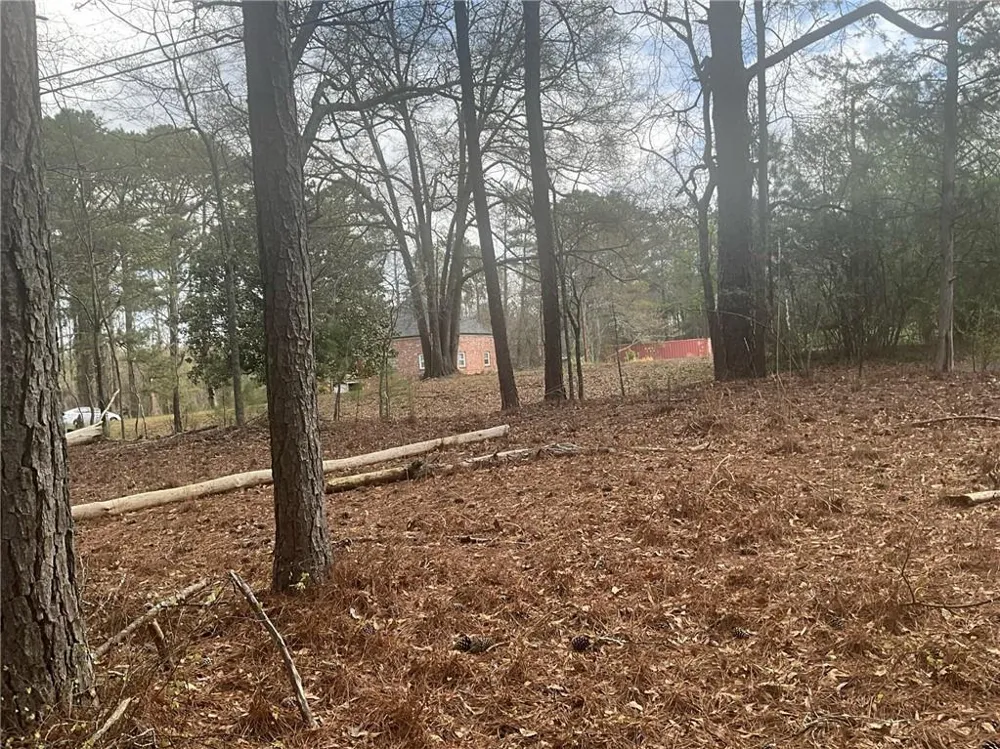 8615 Smith James Road Snellville, GA 30039