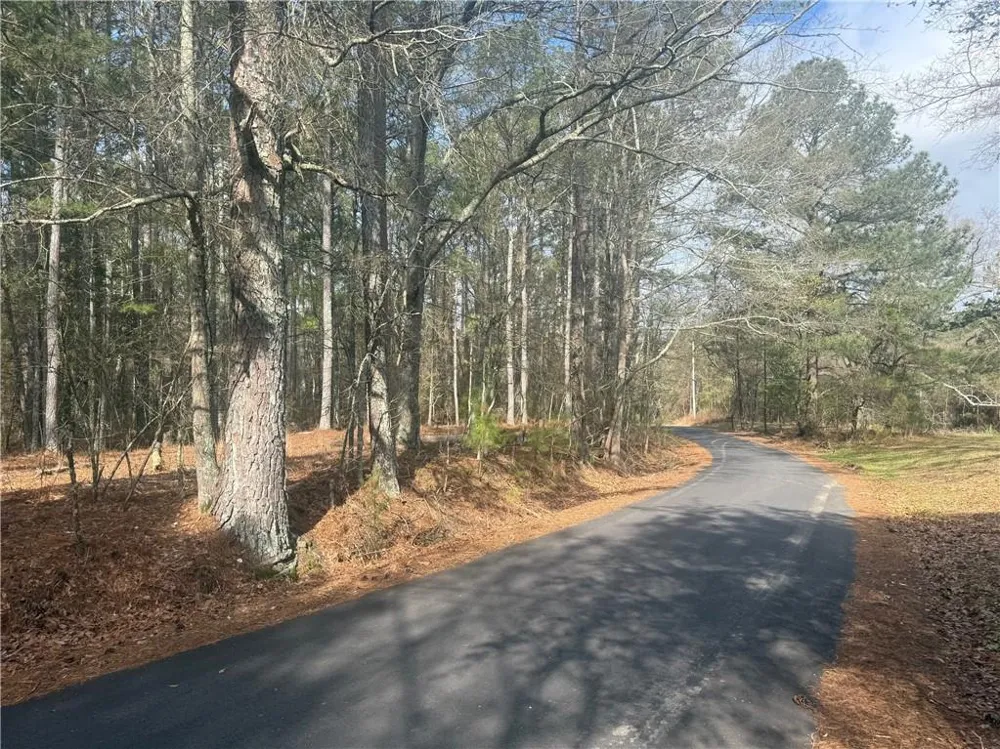 8615 Smith James Road Snellville, GA 30039