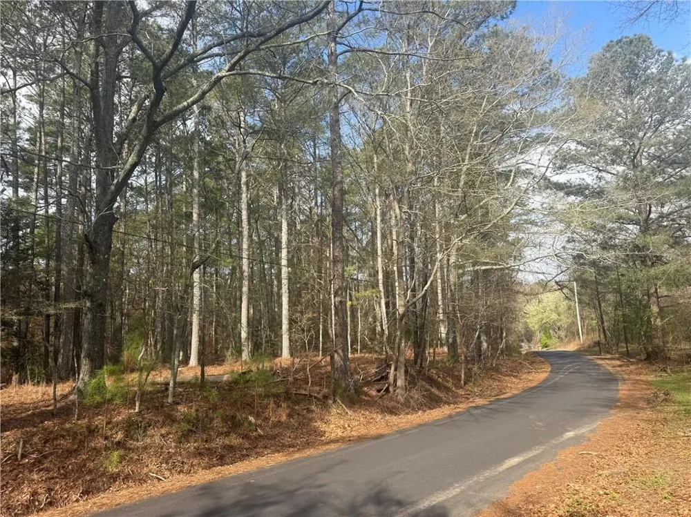 8615 Smith James Road Snellville, GA 30039