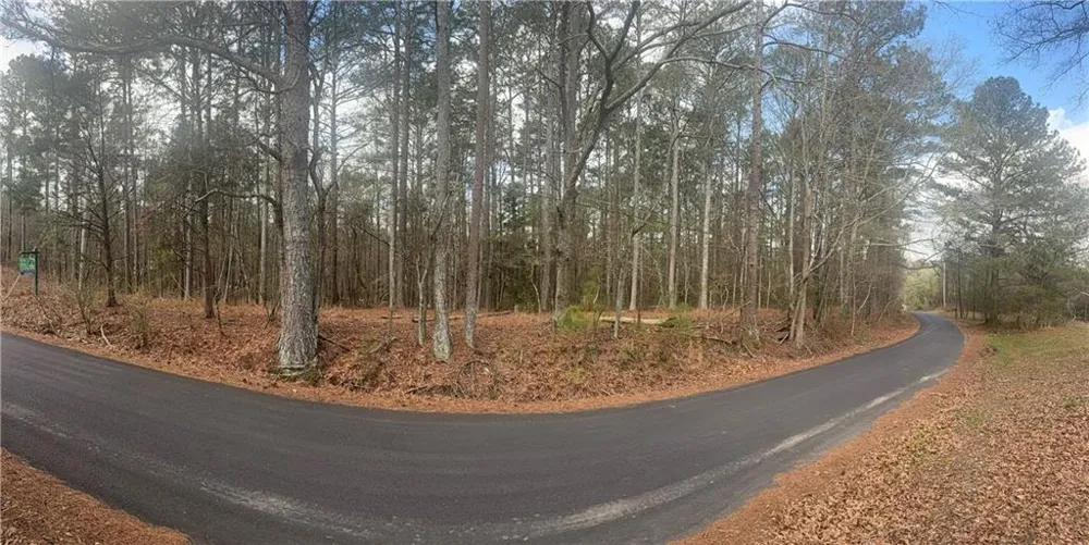 8615 Smith James Road Snellville, GA 30039