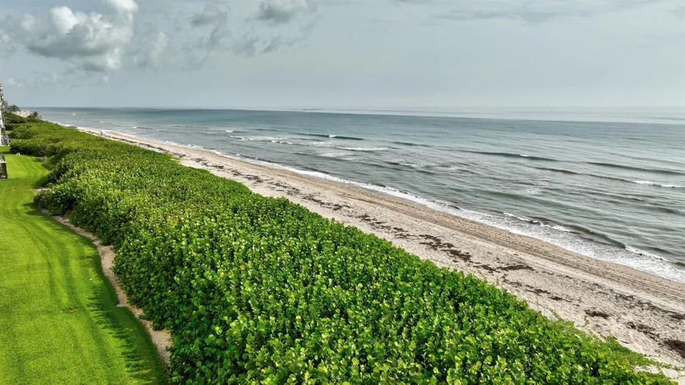 7420 S OCEAN DRIVE #215 Jensen Beach, FL 34957