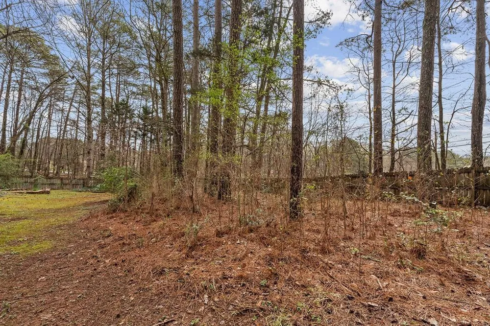 120 Chateau Circle Fayetteville, GA 30215
