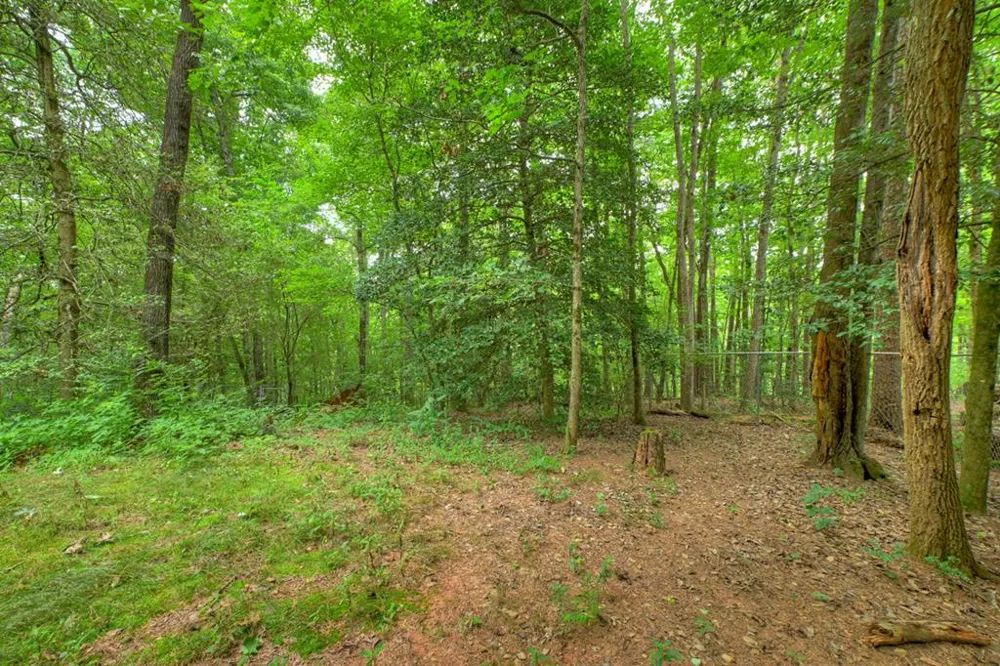 137 Welch Lane Copperhill, TN 37317
