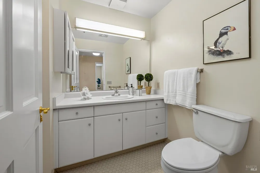 100 Thorndale Drive ##343 San Rafael, CA 94903