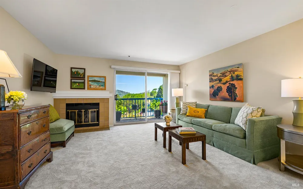 100 Thorndale Drive ##343 San Rafael, CA 94903