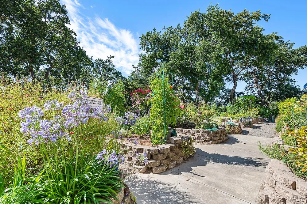 100 Thorndale Drive ##343 San Rafael, CA 94903
