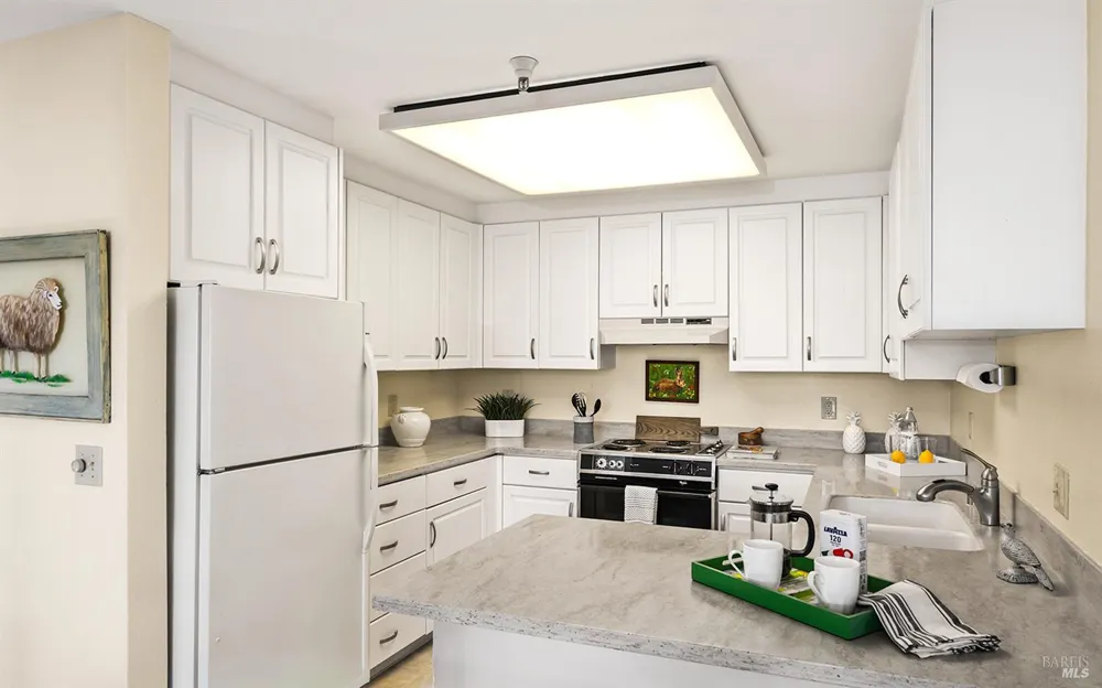 100 Thorndale Drive ##343 San Rafael, CA 94903