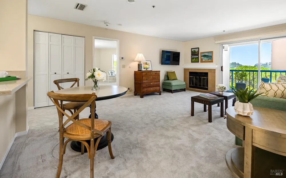 100 Thorndale Drive ##343 San Rafael, CA 94903