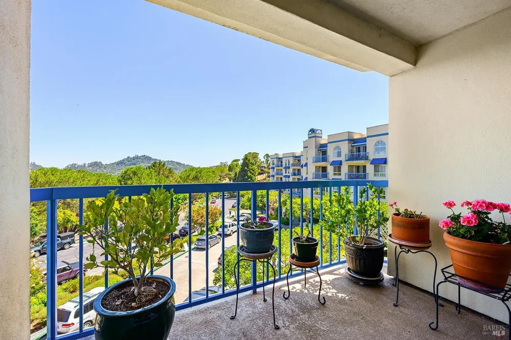 100 Thorndale Drive ##343 San Rafael, CA 94903