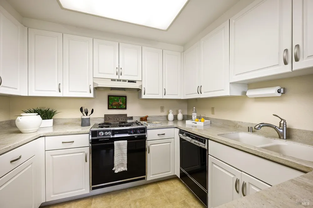 100 Thorndale Drive ##343 San Rafael, CA 94903