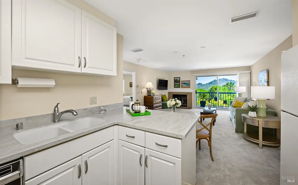 100 Thorndale Drive ##343 San Rafael, CA 94903
