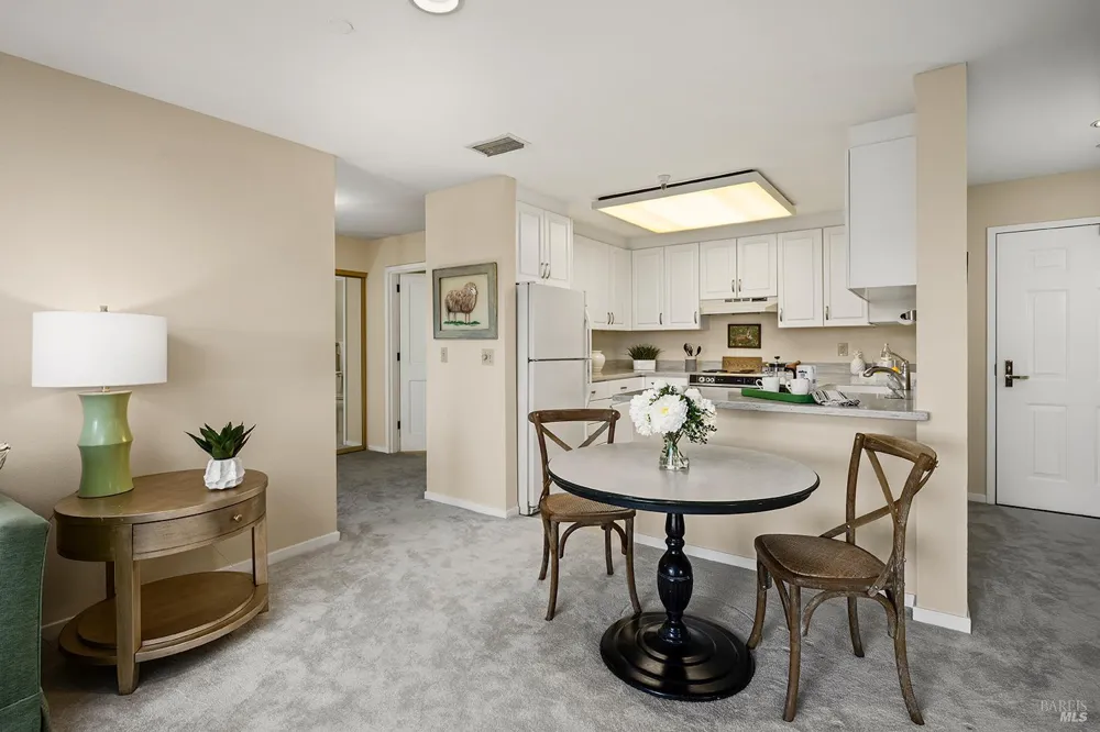 100 Thorndale Drive ##343 San Rafael, CA 94903