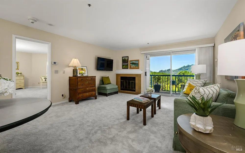 100 Thorndale Drive ##343 San Rafael, CA 94903