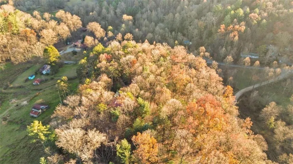 143 Kaely Drive Mineral Bluff, GA 30559