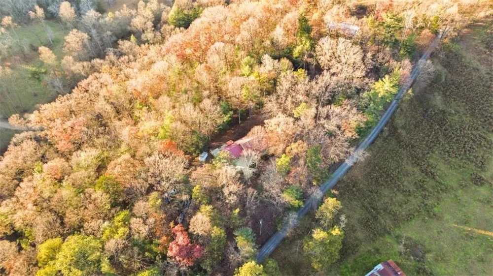143 Kaely Drive Mineral Bluff, GA 30559