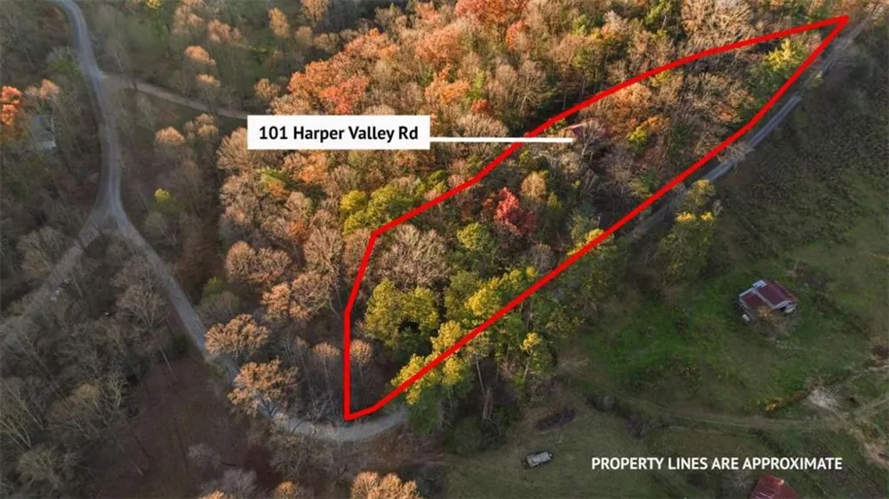 143 Kaely Drive Mineral Bluff, GA 30559
