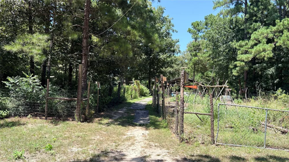 391 Deer Country Road Chester, TX 75936