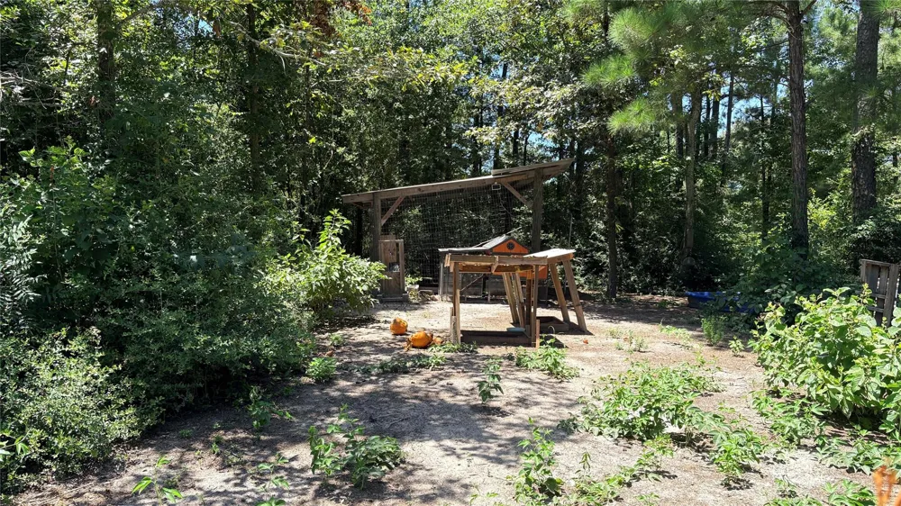 391 Deer Country Road Chester, TX 75936