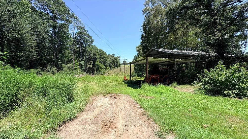 391 Deer Country Road Chester, TX 75936