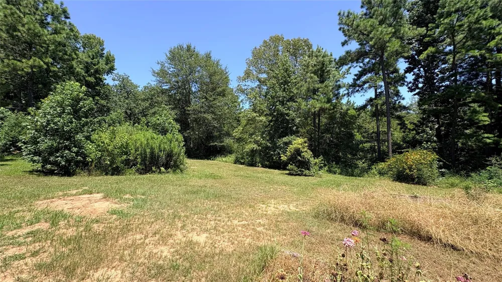 391 Deer Country Road Chester, TX 75936