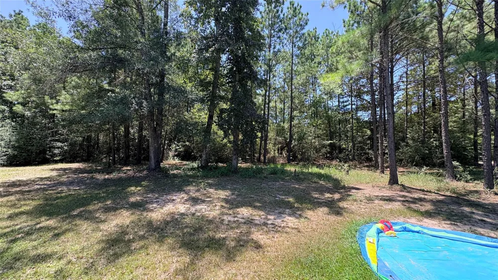 391 Deer Country Road Chester, TX 75936